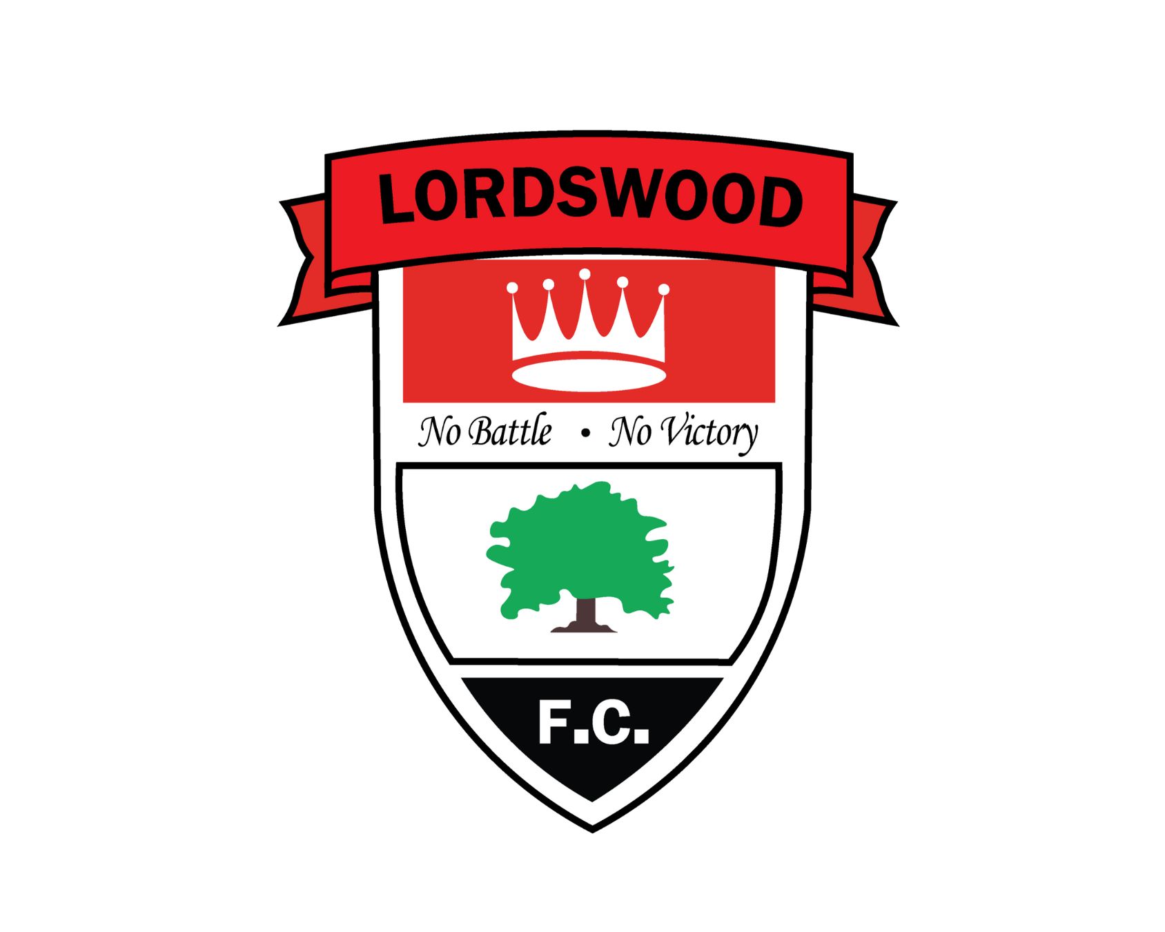 lordswood-fc-12-football-club-facts
