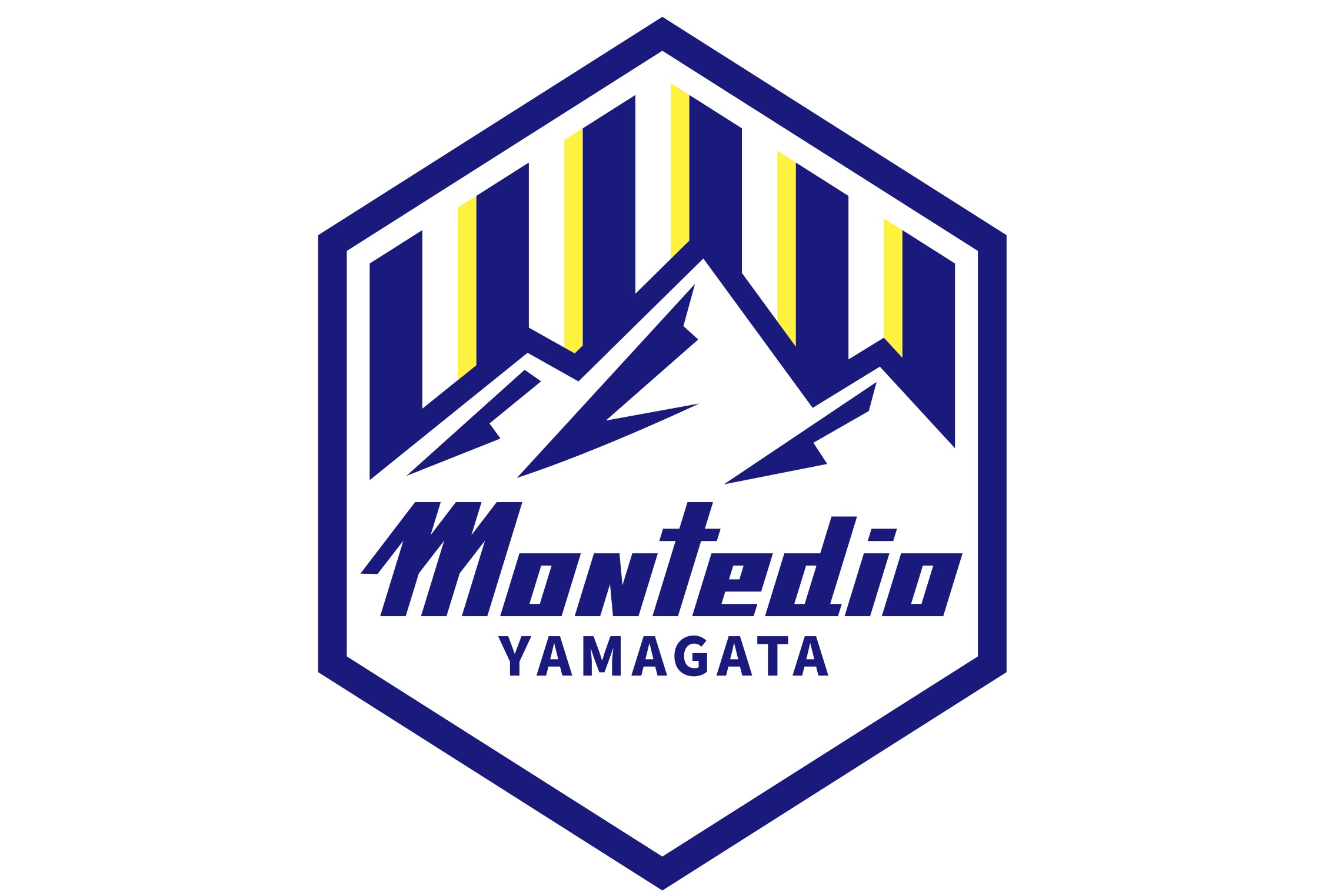 montedio-yamagata-20-football-club-facts
