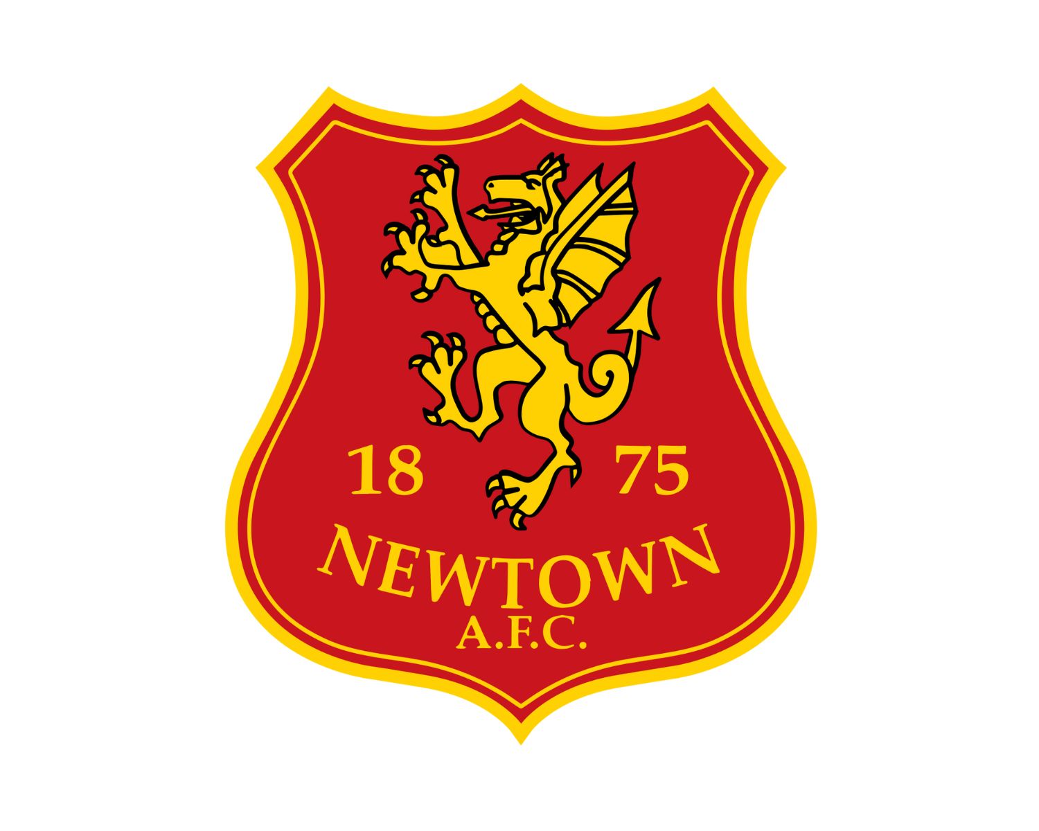 newtown-afc-23-football-club-facts