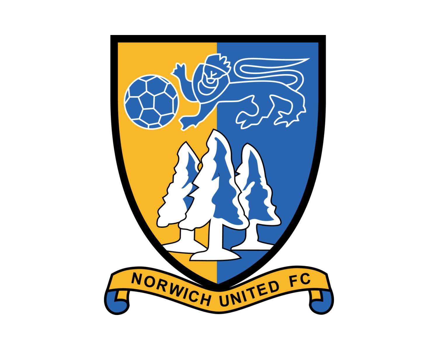 norwich-united-fc-19-football-club-facts
