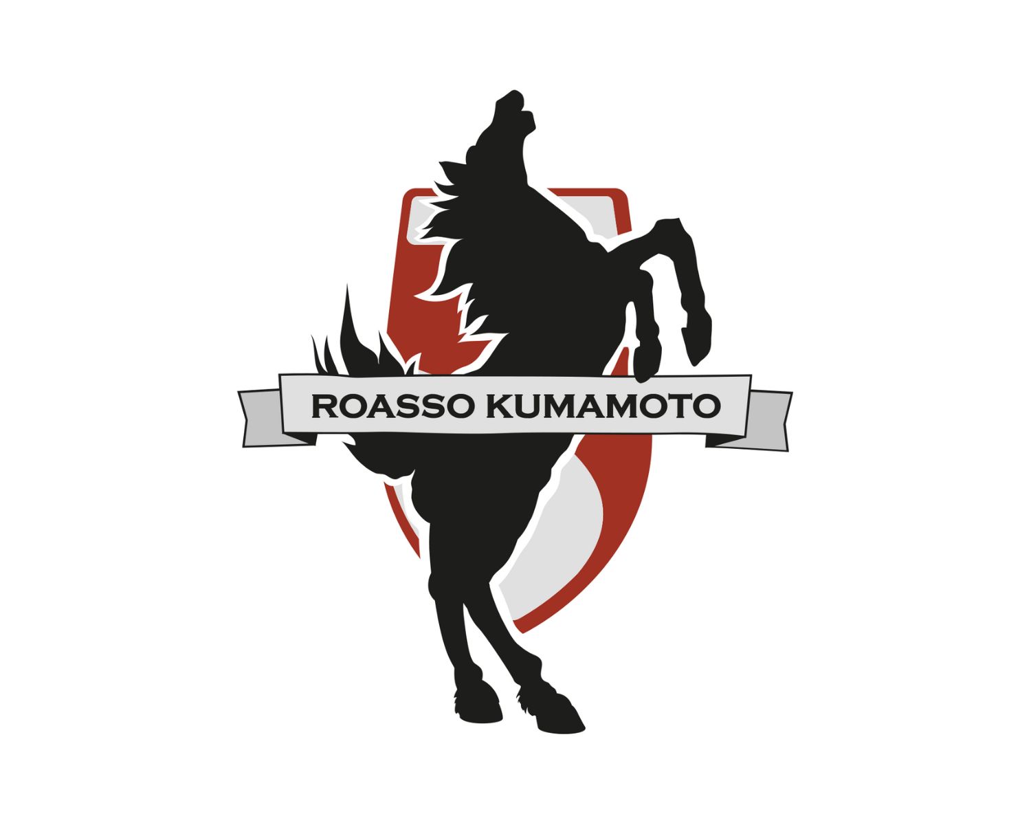 roasso-kumamoto-21-football-club-facts