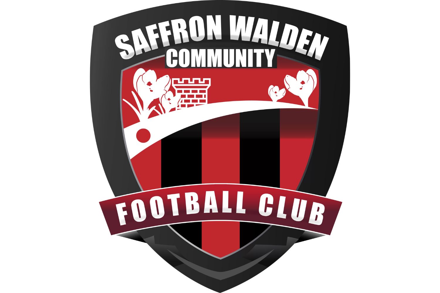 saffron-walden-town-fc-15-football-club-facts