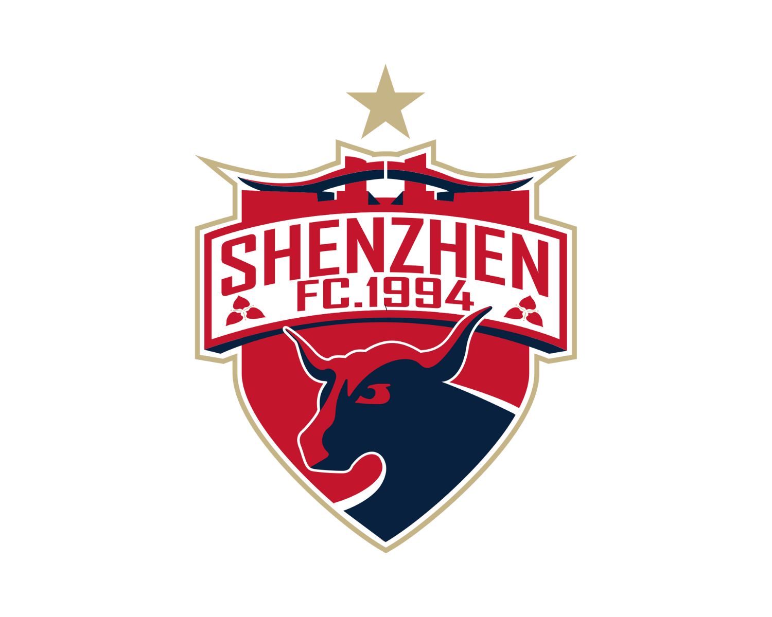 shenzhen-fc-11-football-club-facts
