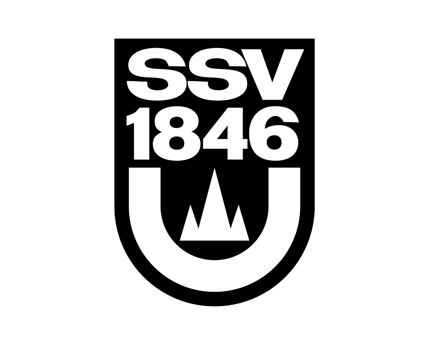 ssv-ulm-1846-11-football-club-facts