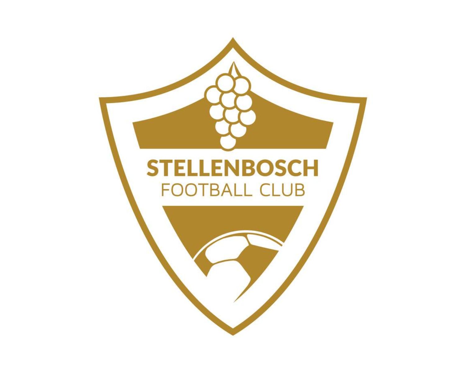 stellenbosch-fc-18-football-club-facts