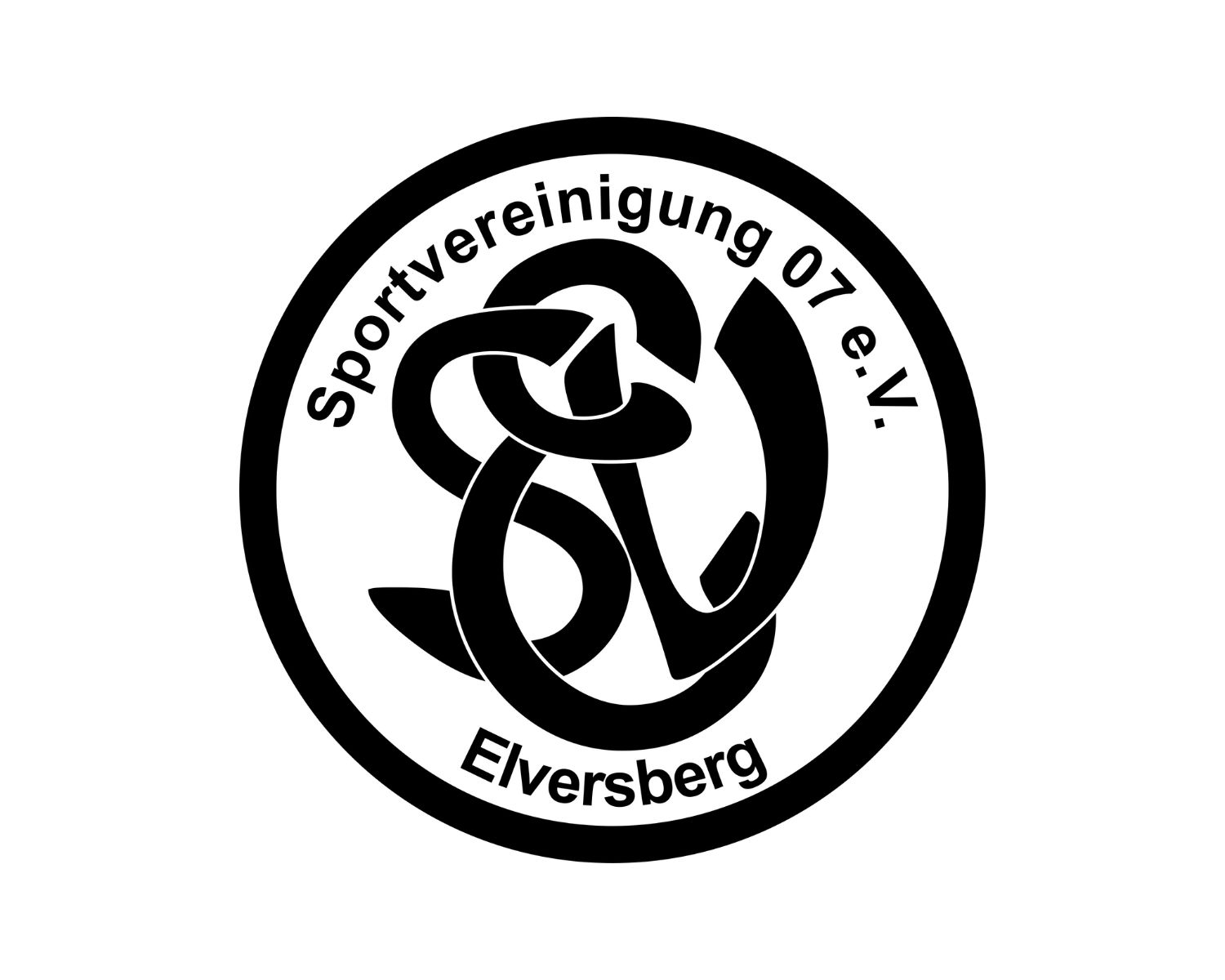 sv-elversberg-21-football-club-facts