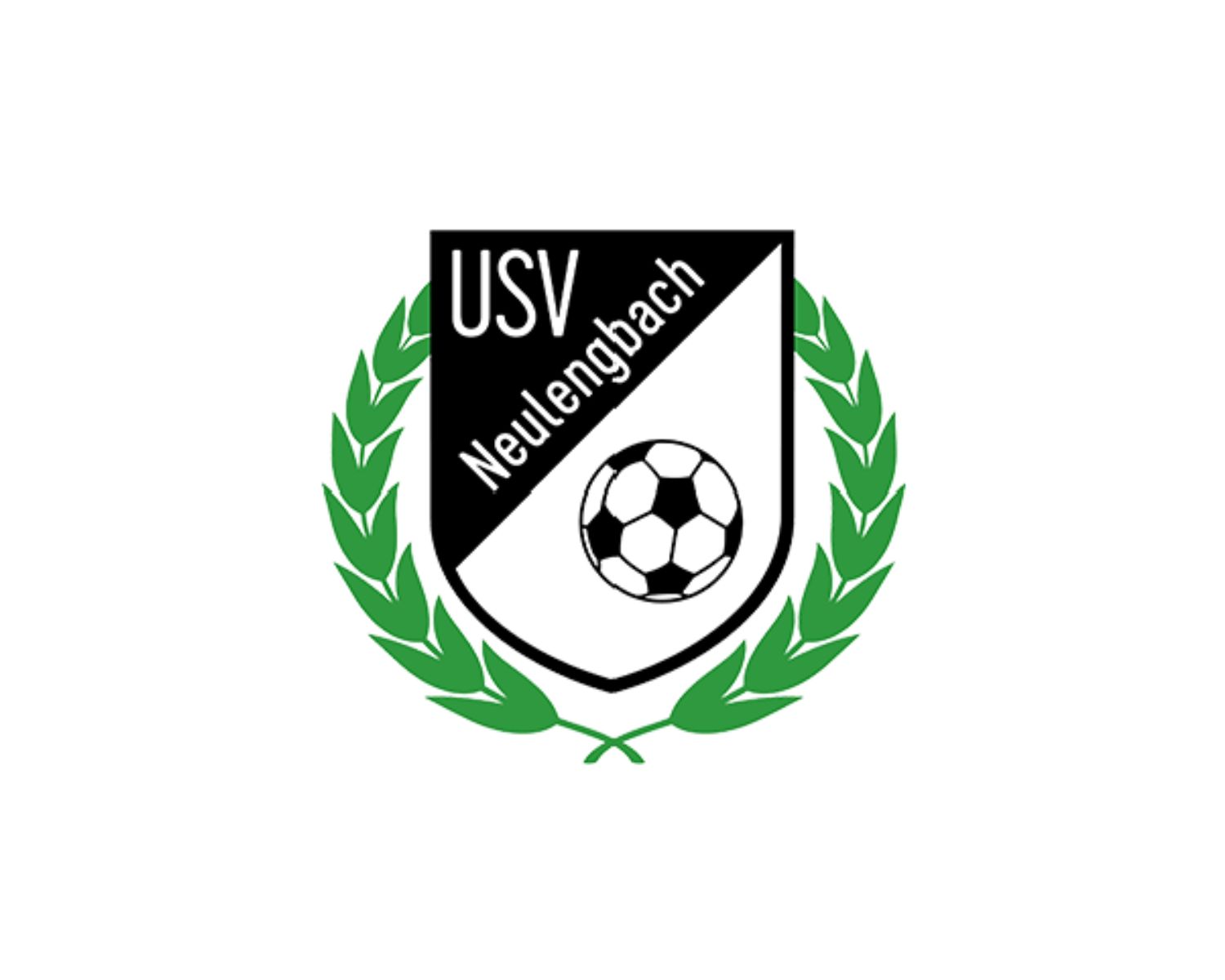 sv-neulengbach-16-football-club-facts