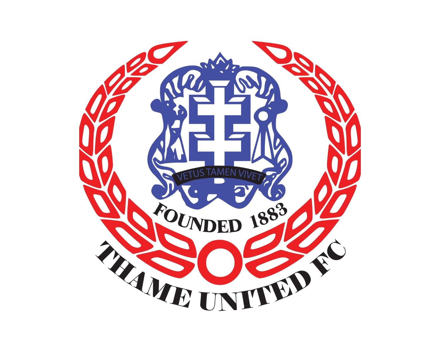 thame-united-fc-13-football-club-facts
