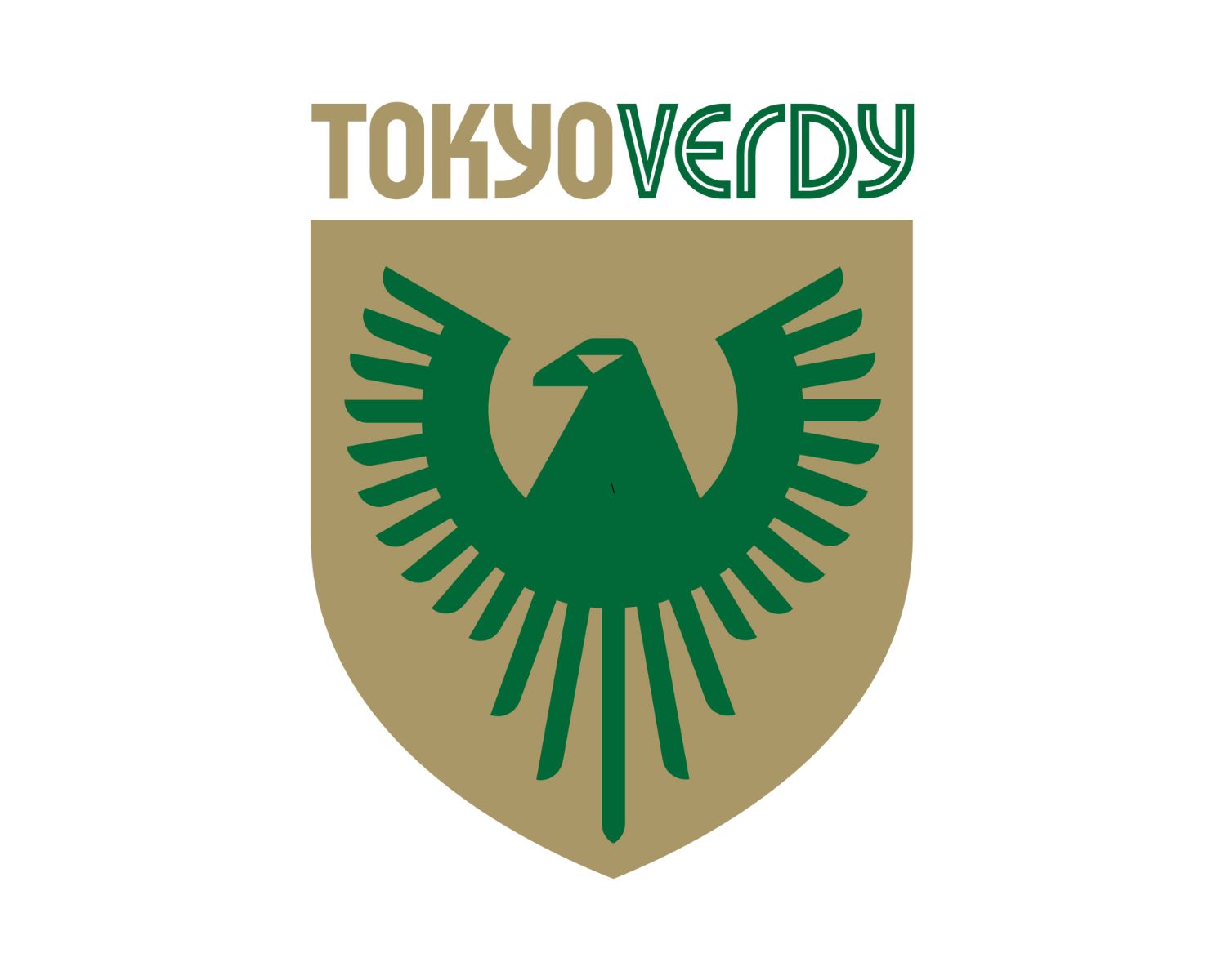 tokyo-verdy-16-football-club-facts