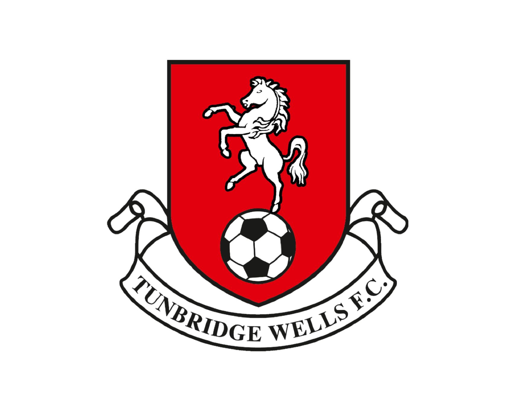 tunbridge-wells-fc-19-football-club-facts