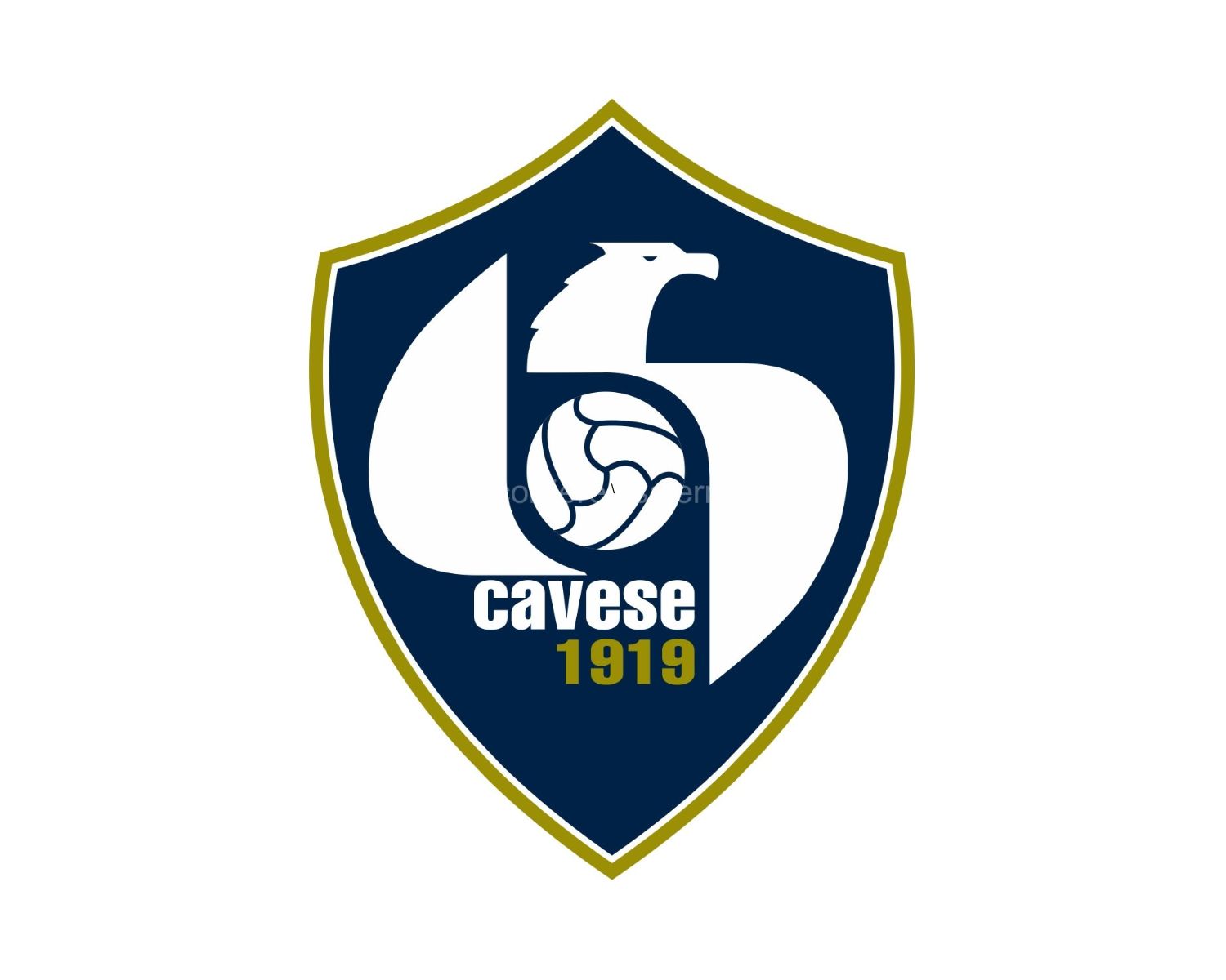 usd-cavese-1919-14-football-club-facts