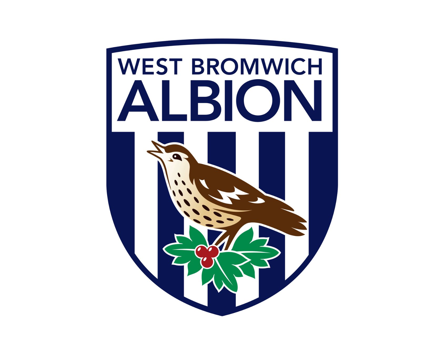 west-bromwich-albion-fc-11-football-club-facts