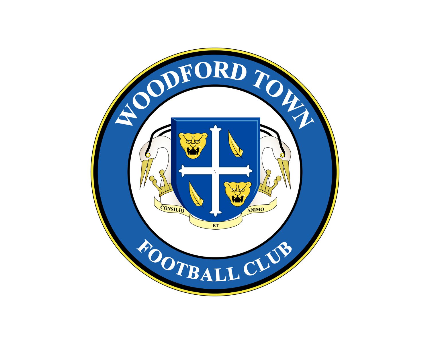 woodford-town-fc-16-football-club-facts
