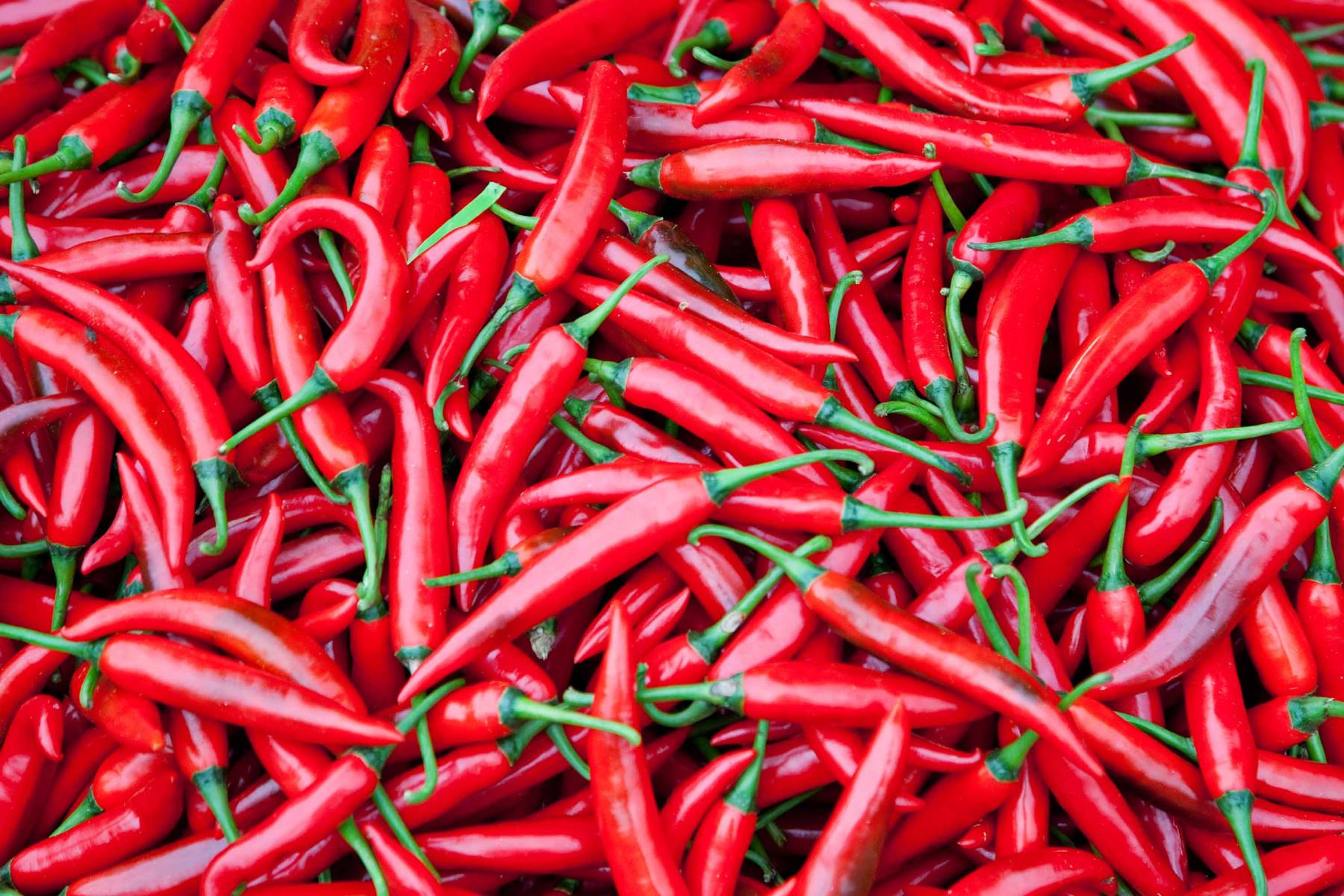 10-chili-peppers-facts