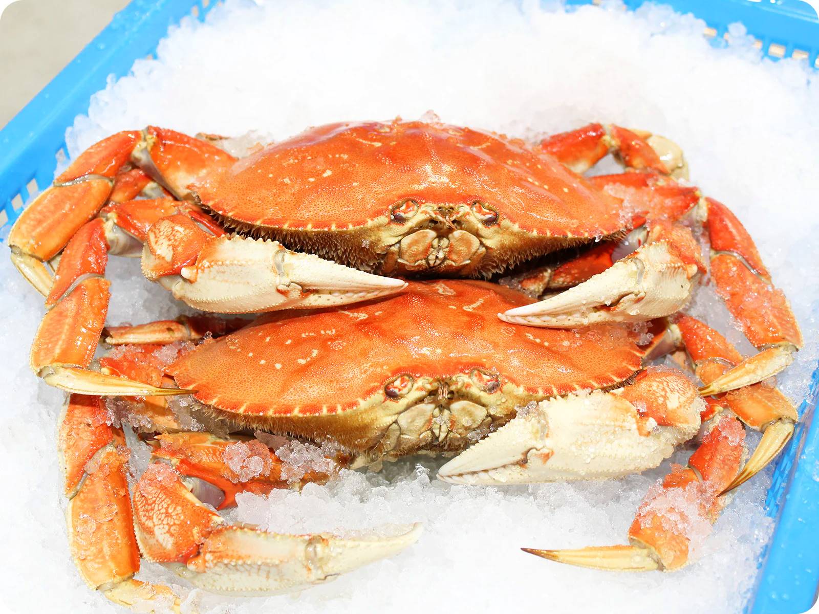 10-dungeness-crab-nutrition-facts