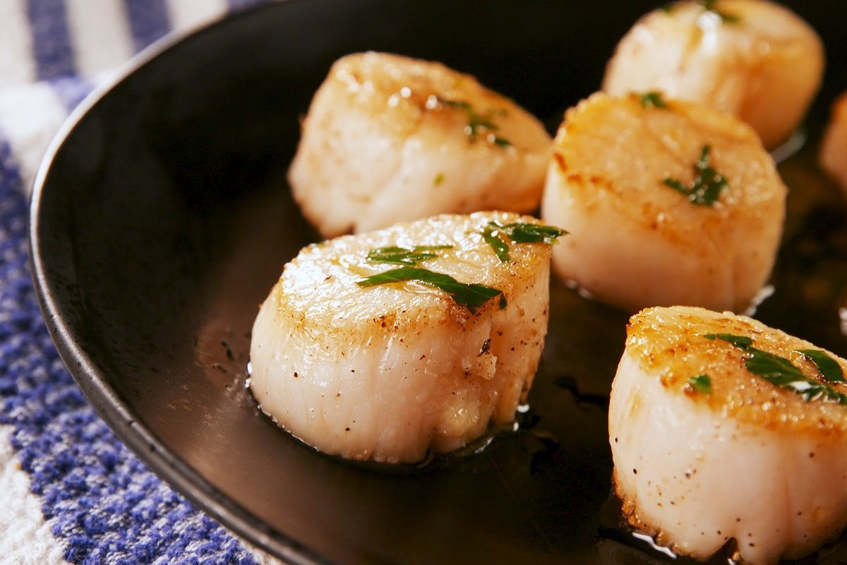 10-facts-about-scallops