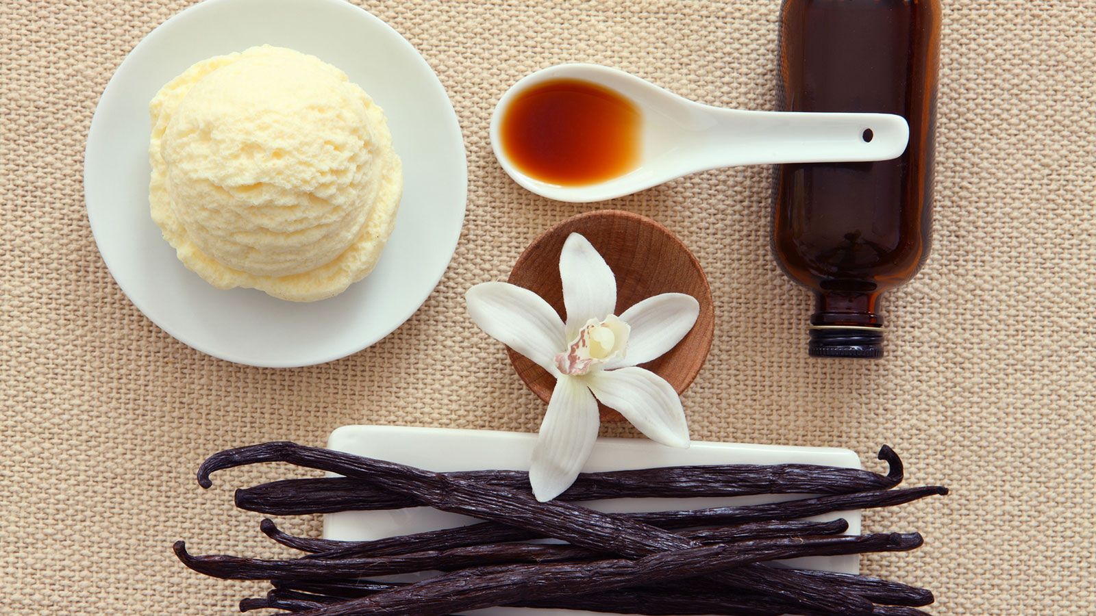 10-facts-about-vanilla
