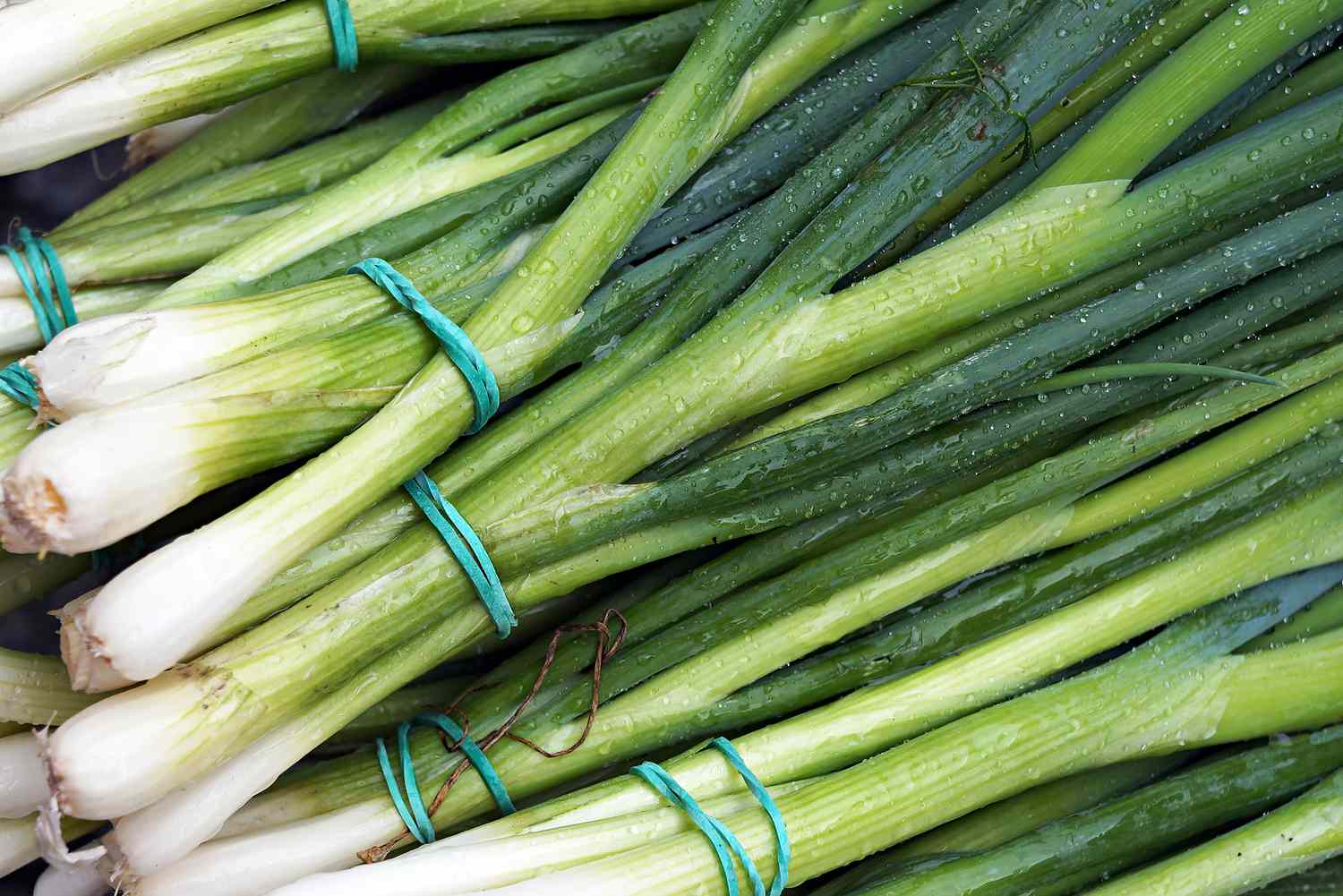 10-nutrition-facts-for-green-onions
