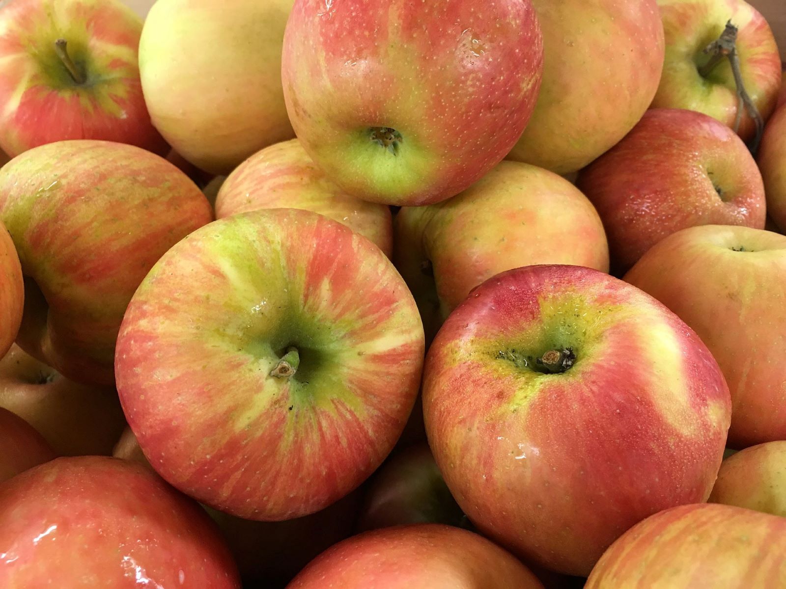 Calories in 1 medium Honeycrisp Apples and Nutrition Facts