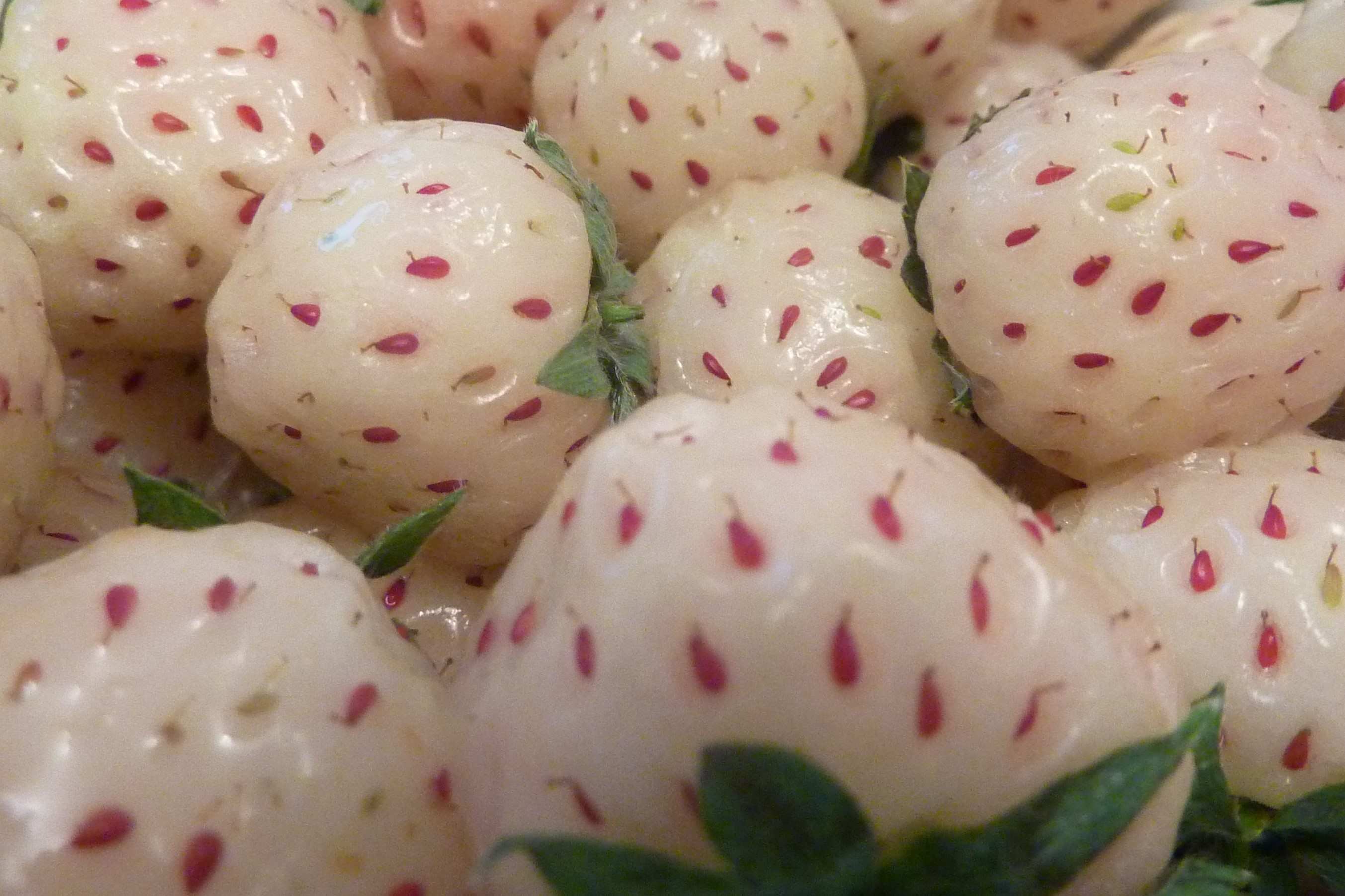 10-pineberries-nutrition-facts