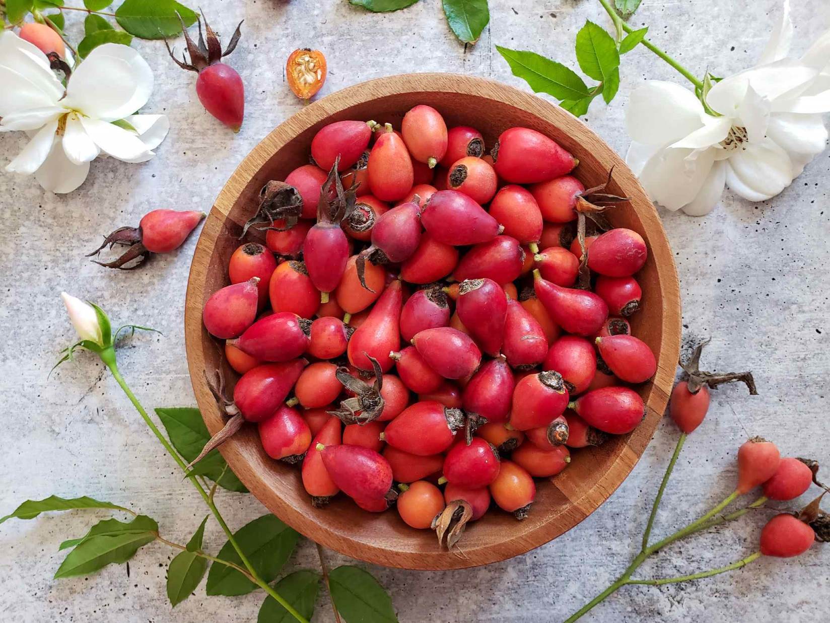 10-rose-hip-nutrition-facts