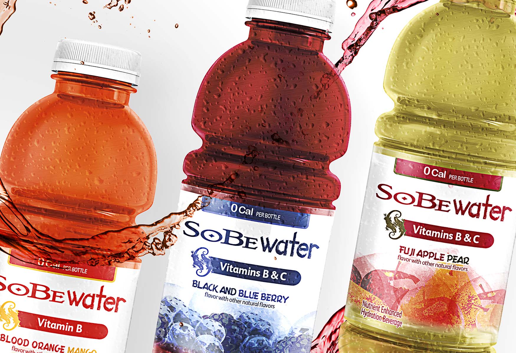 10-sobe-life-water-nutrition-facts