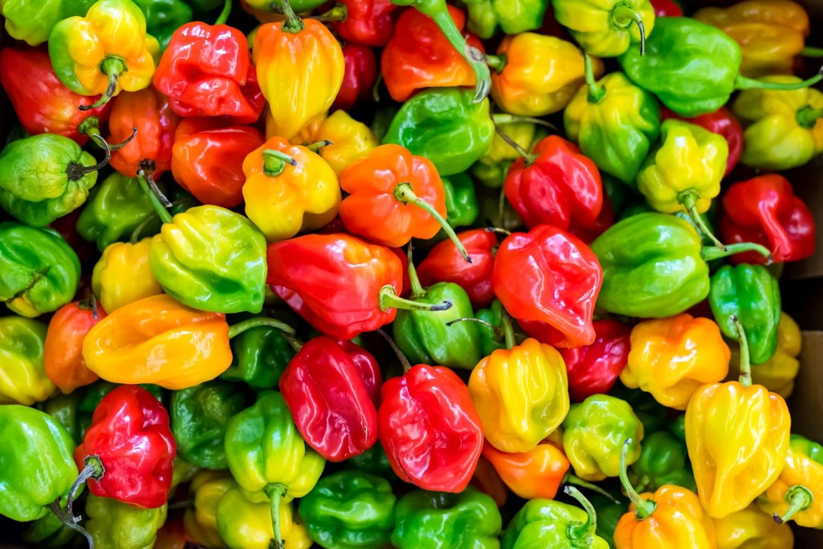 11-habanero-pepper-nutrition-facts