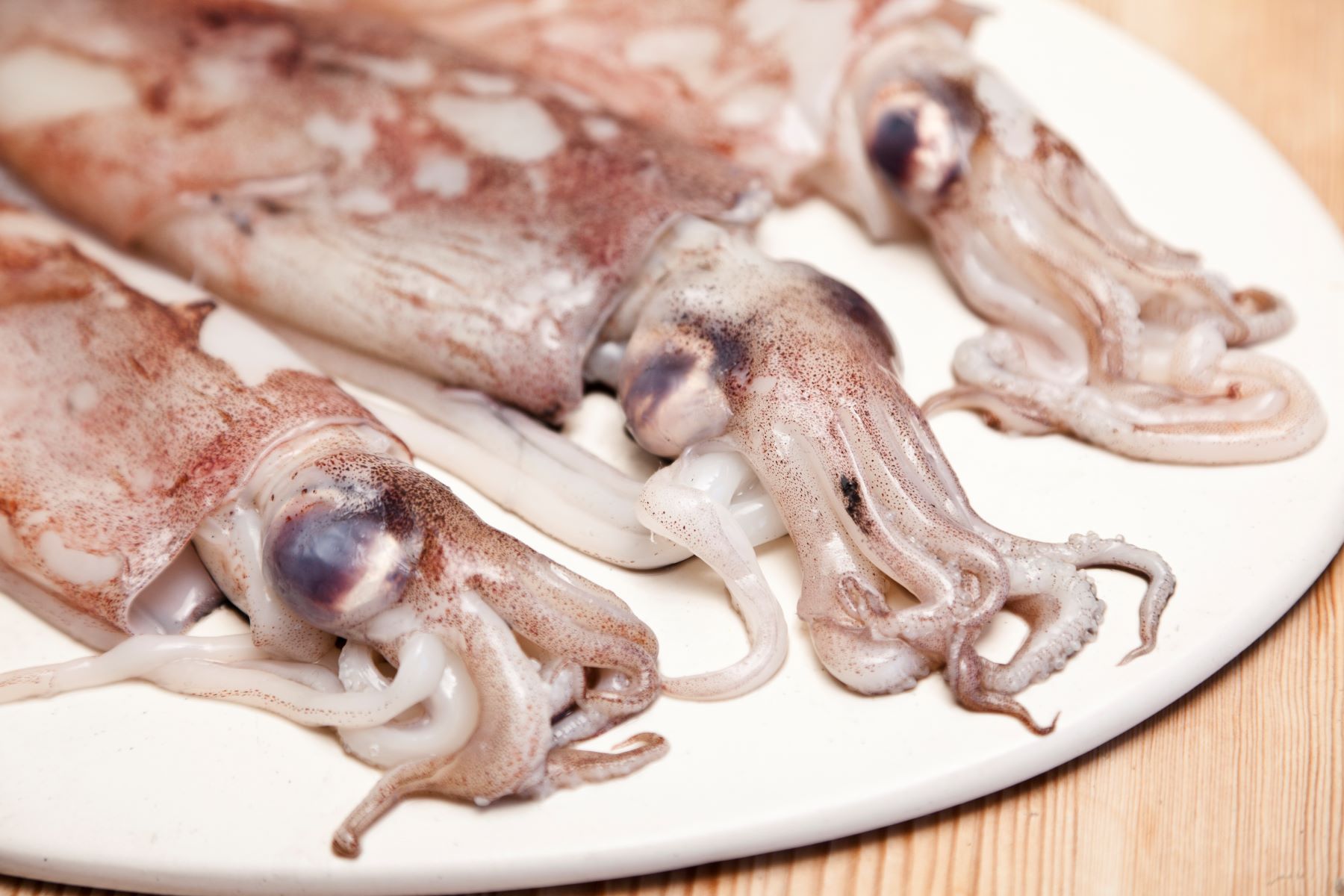 11-squid-nutritional-facts