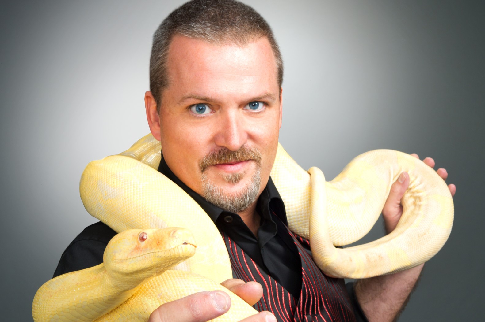 12 Captivating Facts About Todd Ray - Facts.net