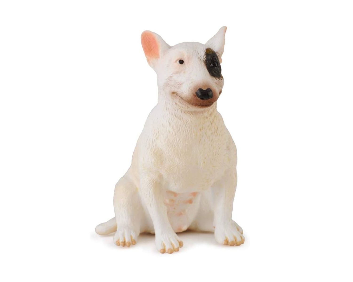 13-fascinating-facts-about-bull-terrier