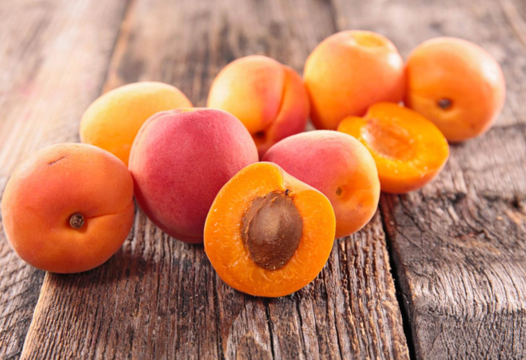15-apricot-facts