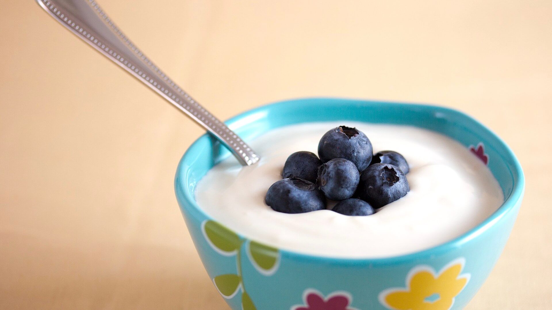 15-blueberry-yogurt-nutrition-facts