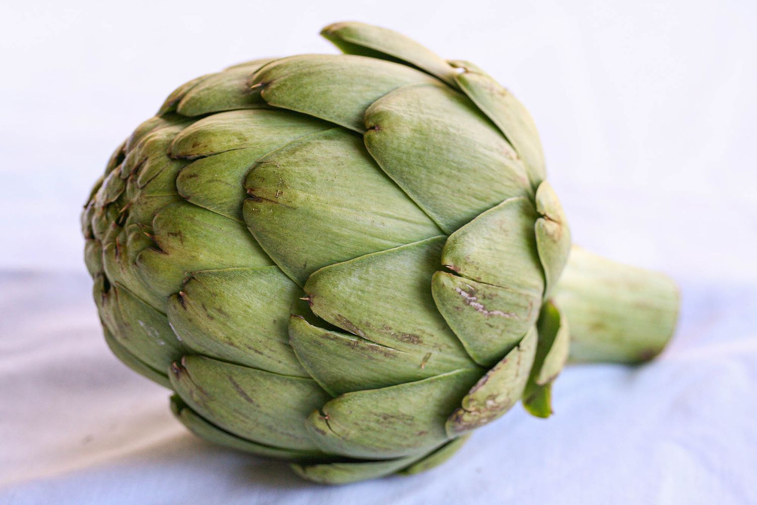 15-facts-about-artichokes