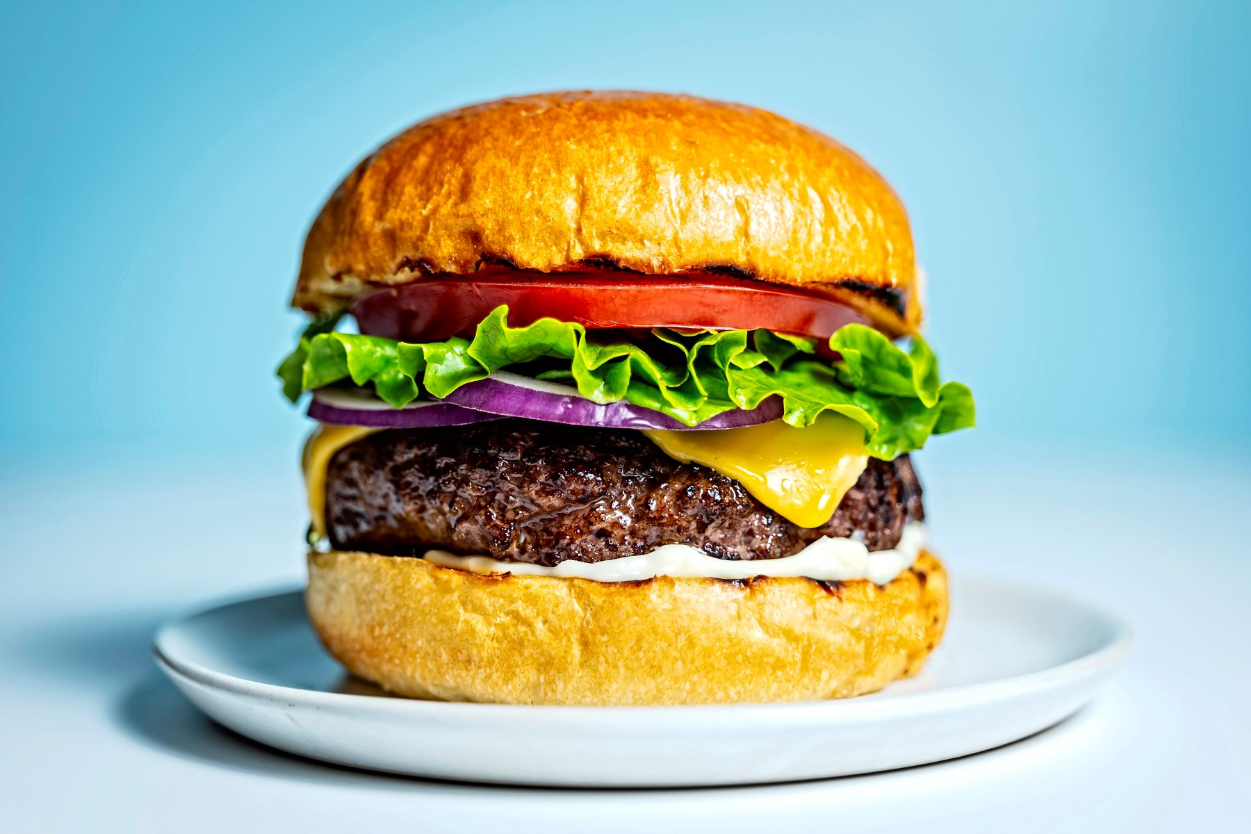 15-fun-facts-about-hamburgers