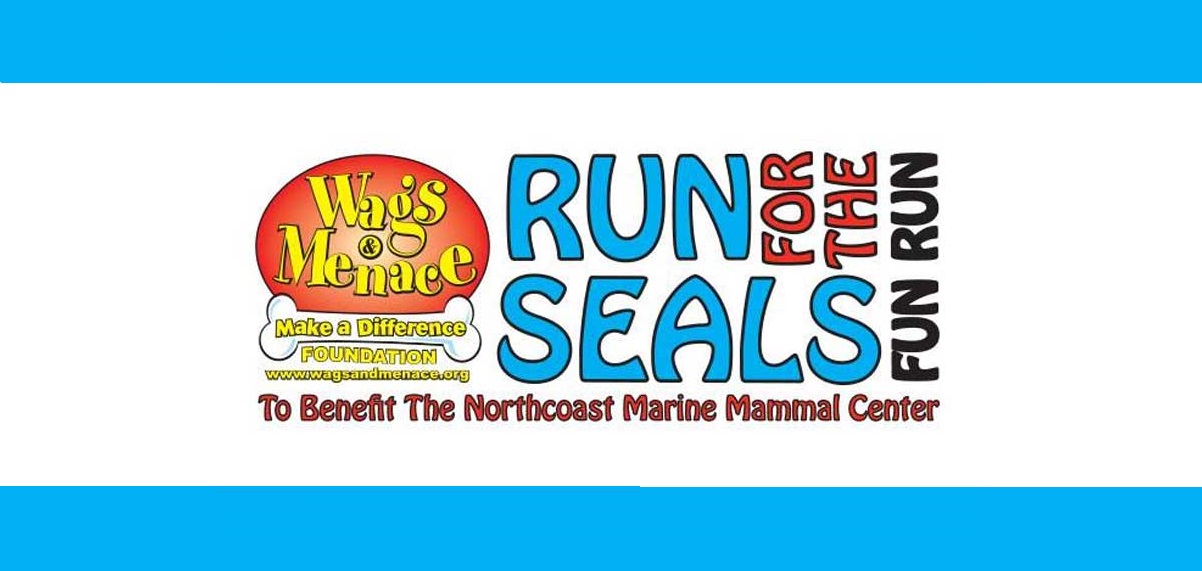 16-astounding-facts-about-run-for-the-seals
