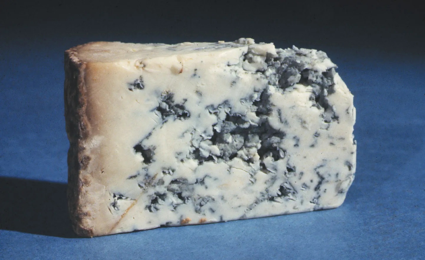 18-blue-cheese-nutritional-facts