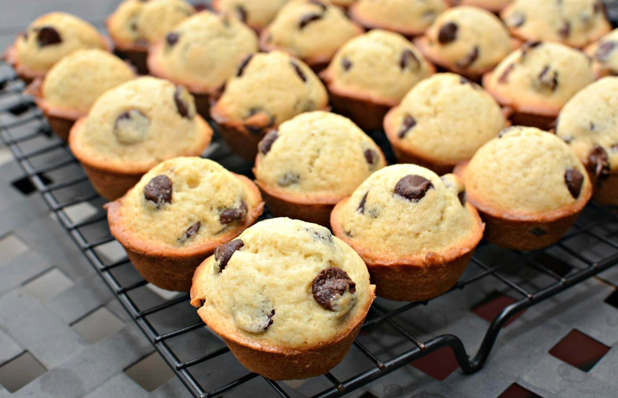 18-little-bites-chocolate-chip-muffins-nutrition-facts