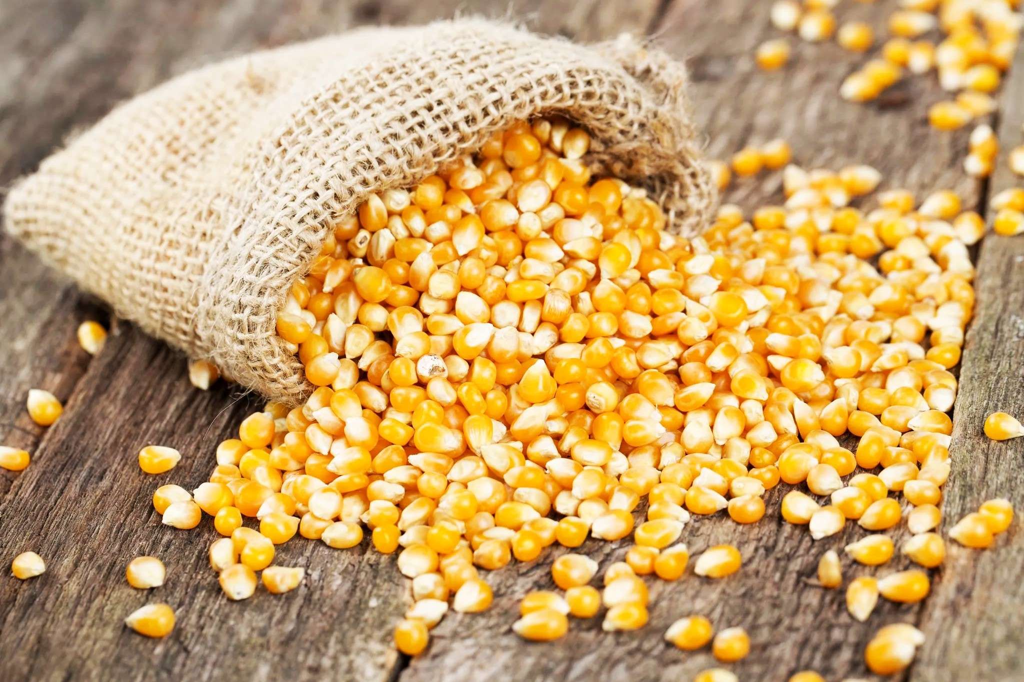 18-popcorn-kernels-nutrition-facts