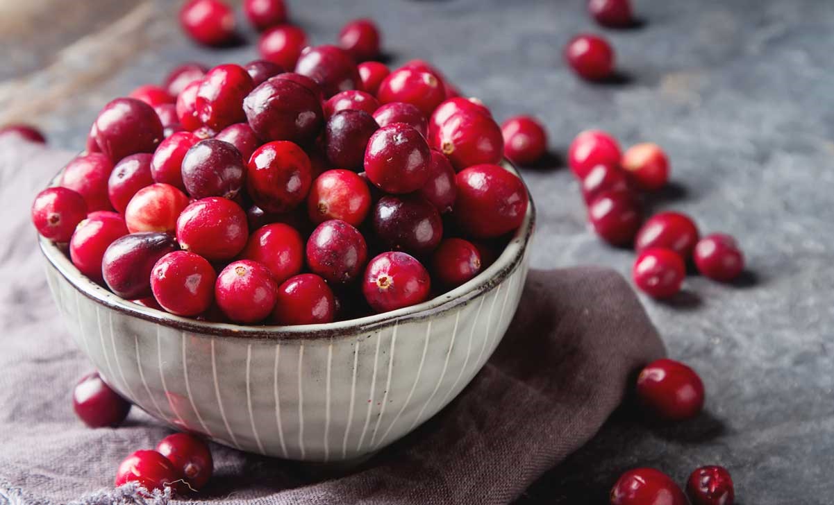 19-fun-facts-about-cranberries