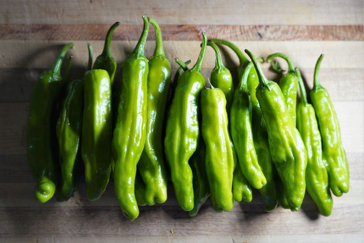 19-shishito-peppers-nutrition-facts