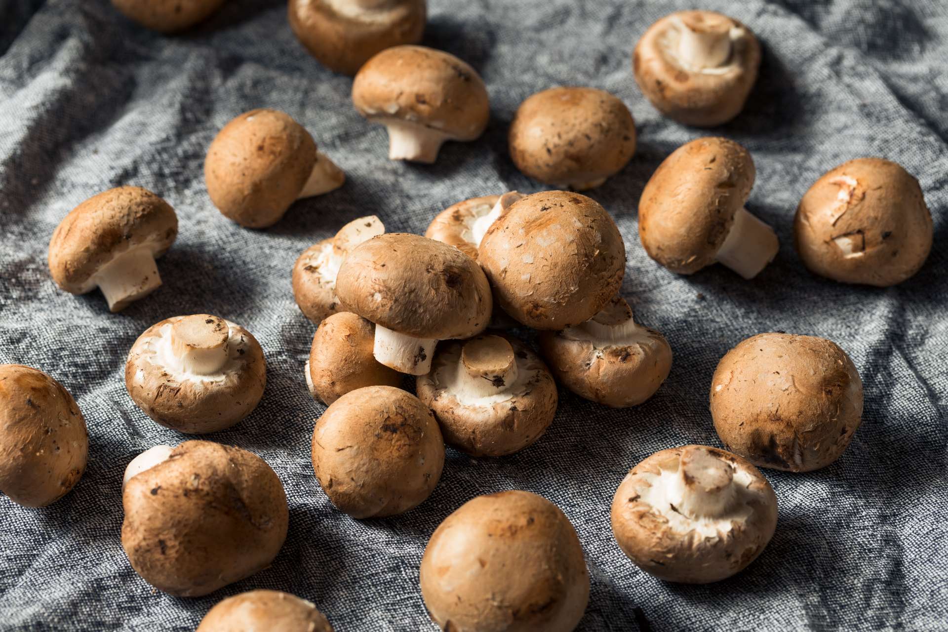 20-baby-bella-mushrooms-nutrition-facts