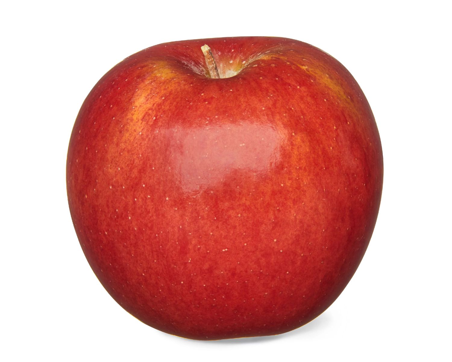 Envy™ Apples Information and Facts