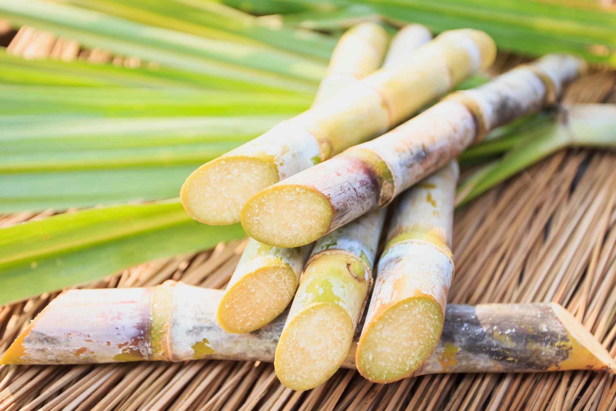 20-facts-about-sugar-cane