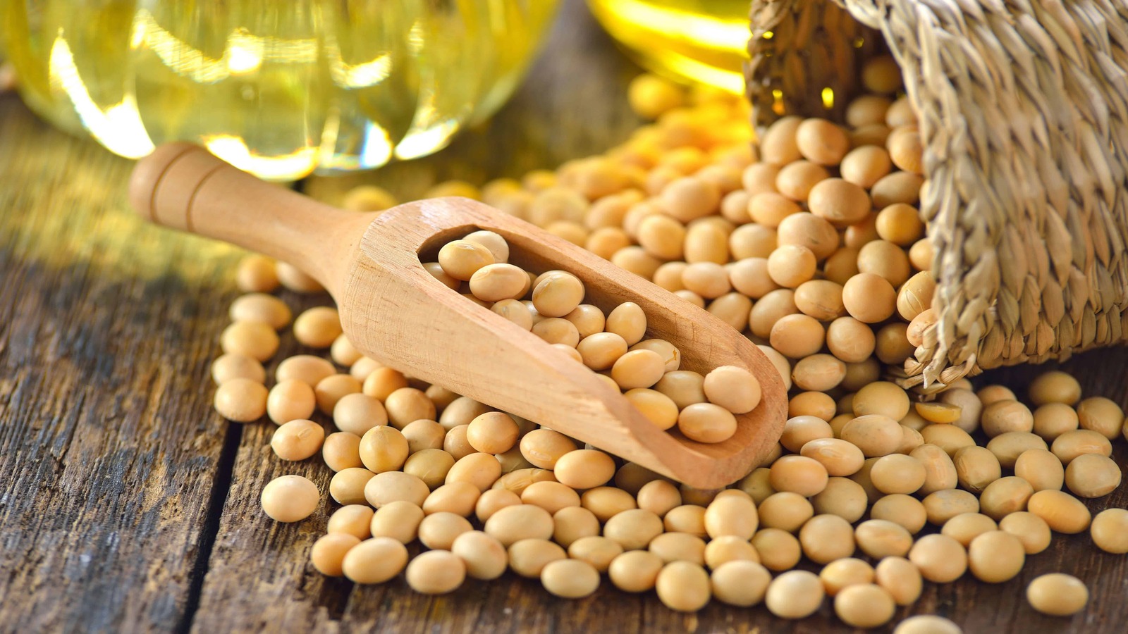 20-fun-facts-about-soybeans