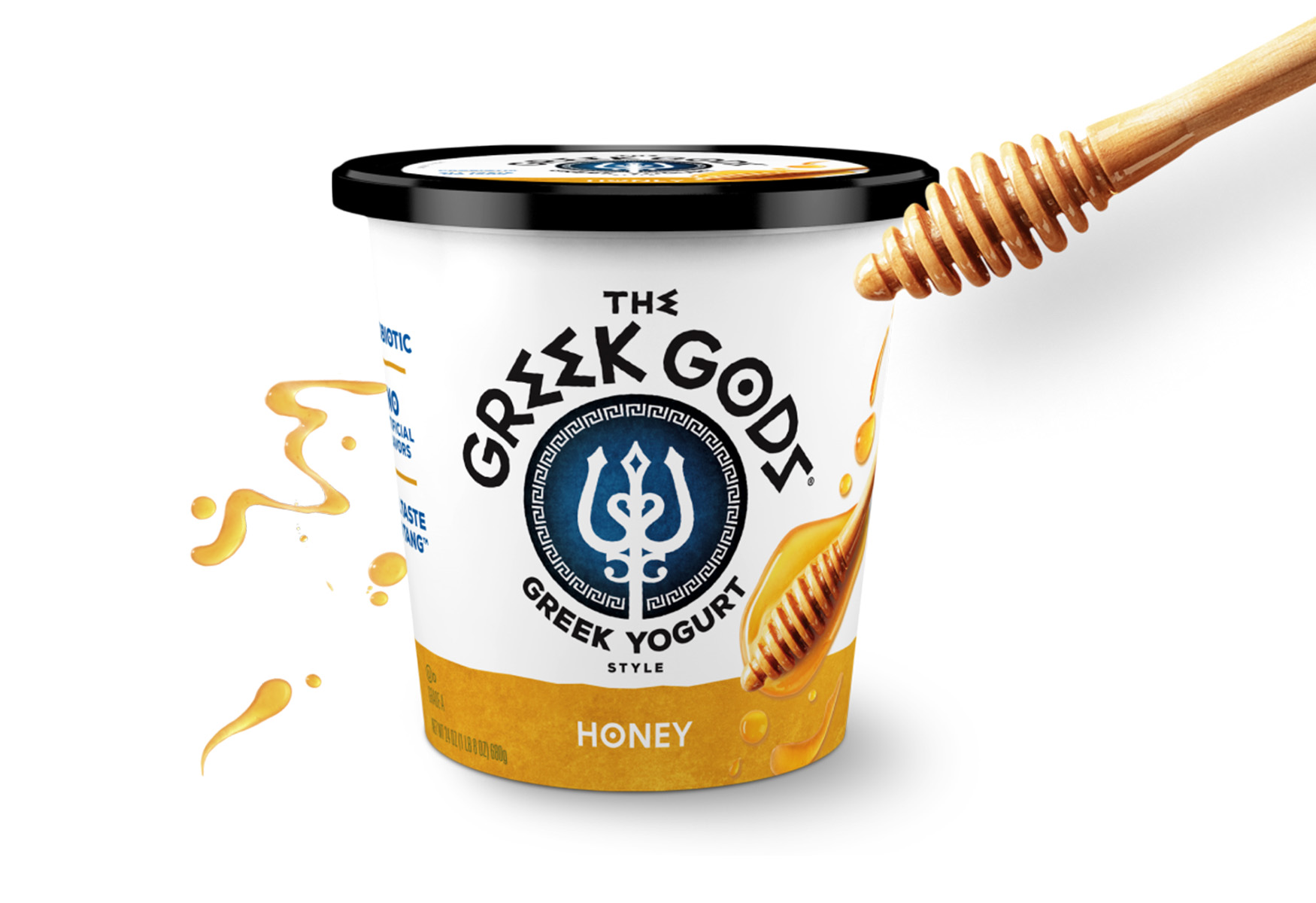 20-greek-gods-vanilla-honey-yogurt-nutrition-facts