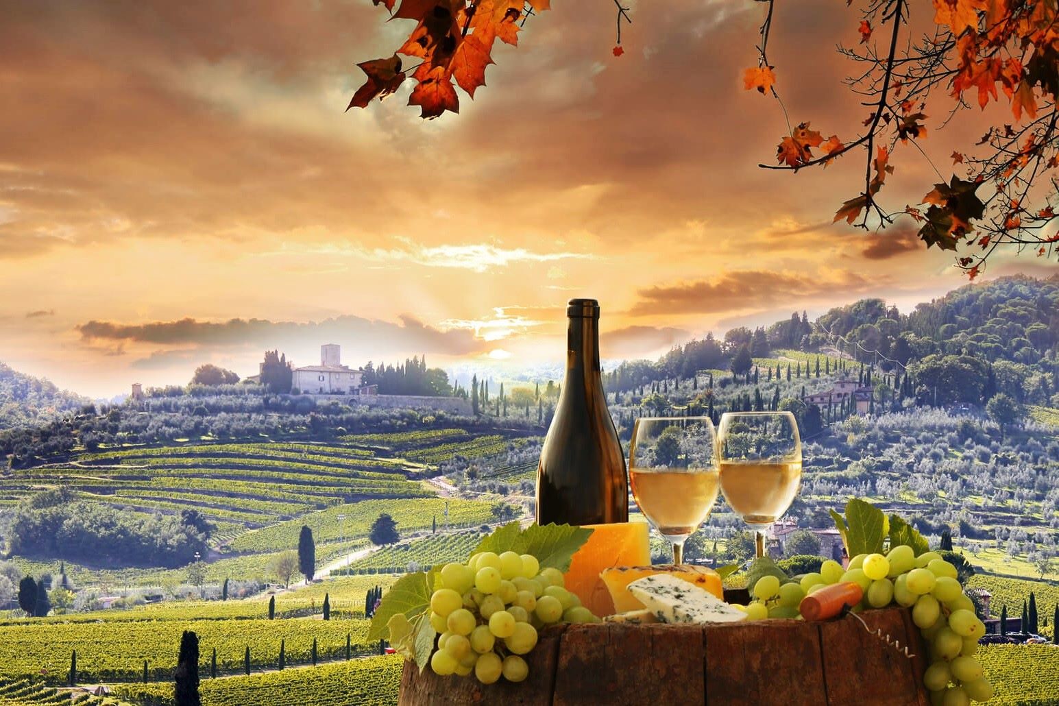 20 Italian Wine Facts - Facts.net