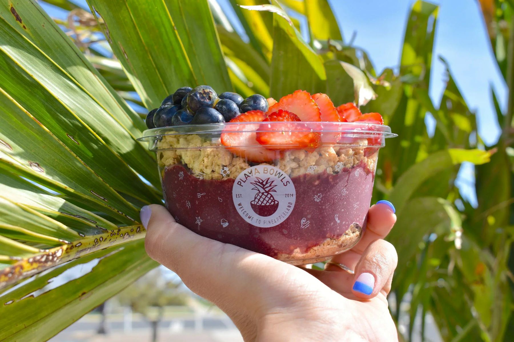 20-playa-bowls-nutrition-facts