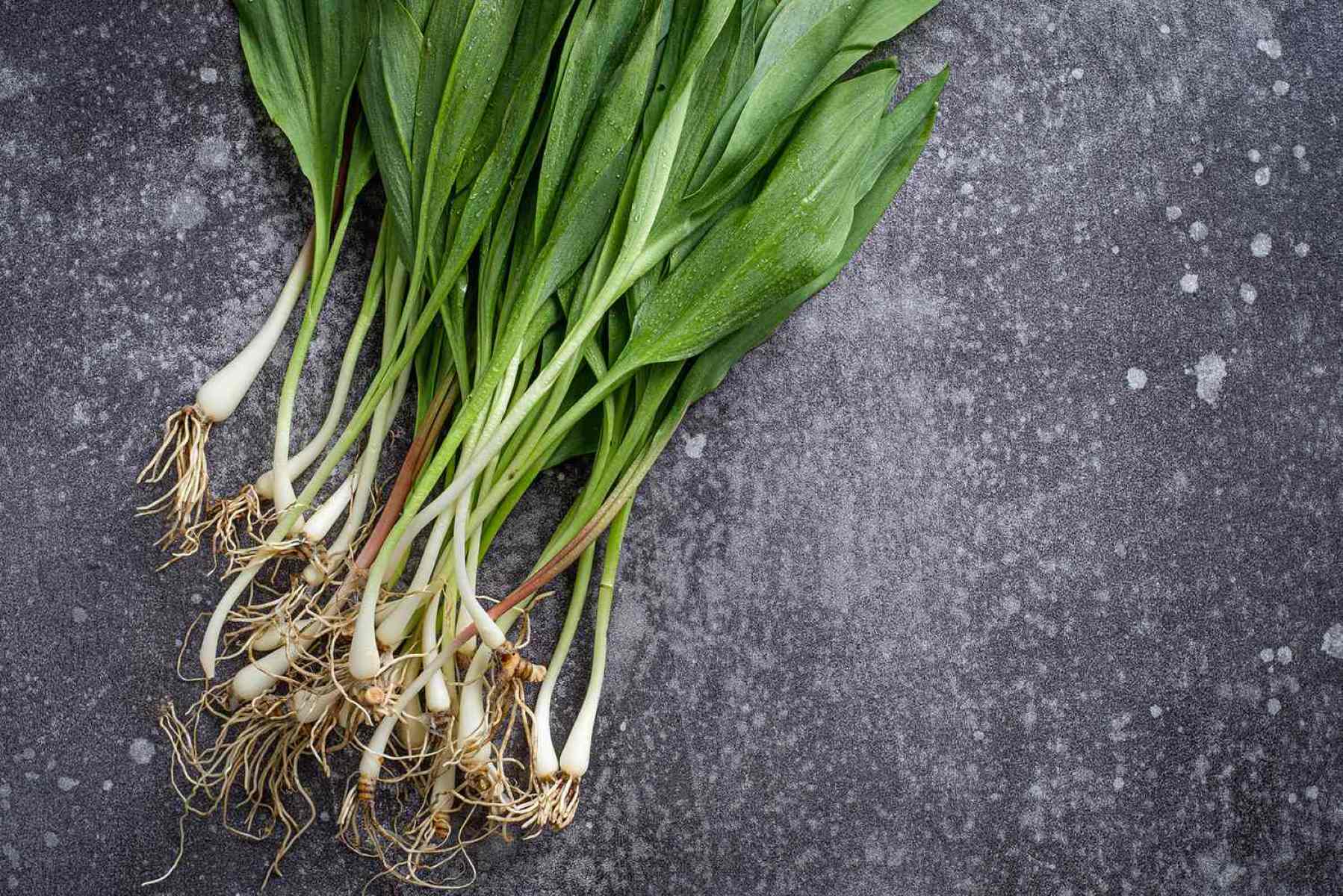 20-ramps-nutrition-facts