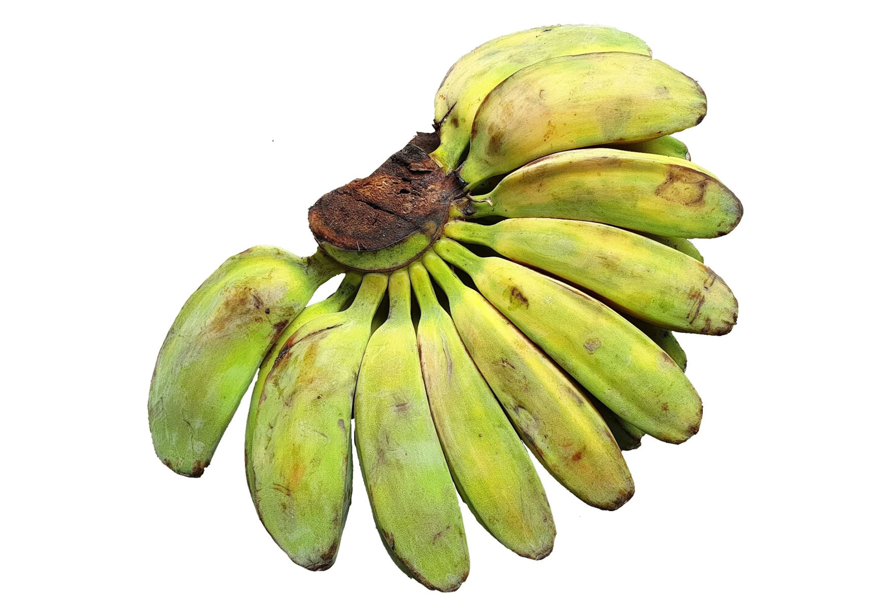 20-saba-banana-nutrition-facts