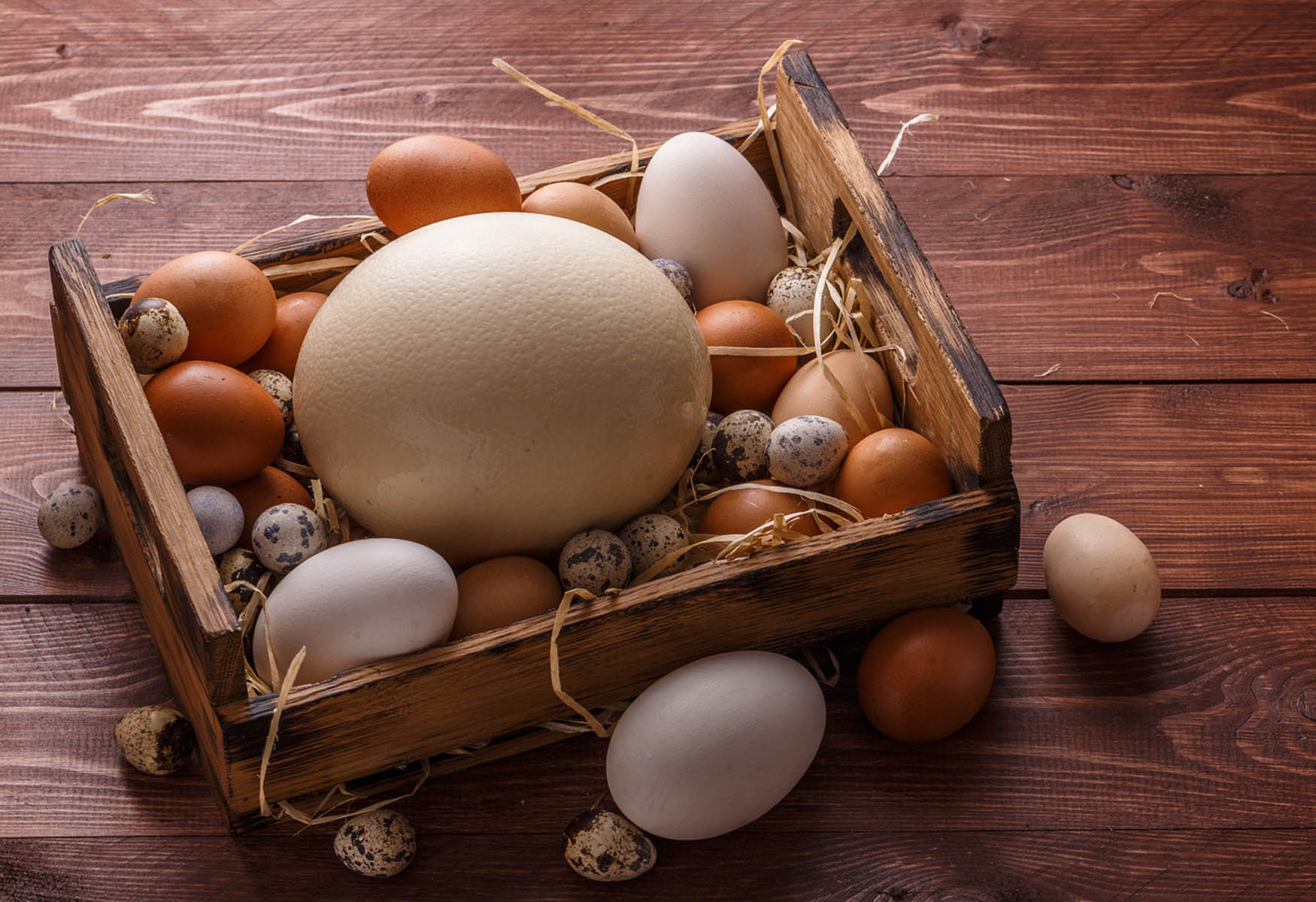 20-turkey-eggs-nutrition-facts